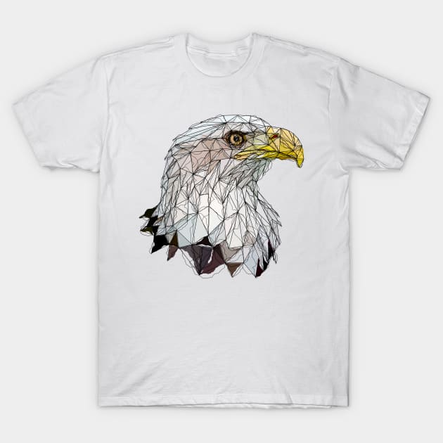 Bald eagle T-Shirt by Edwardmhz